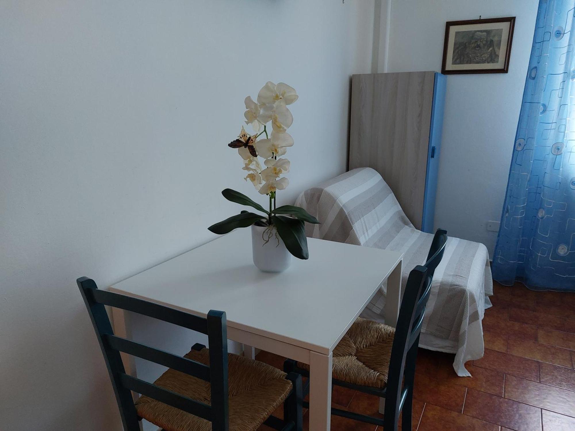 B&B Soleluna Pisa Exterior photo